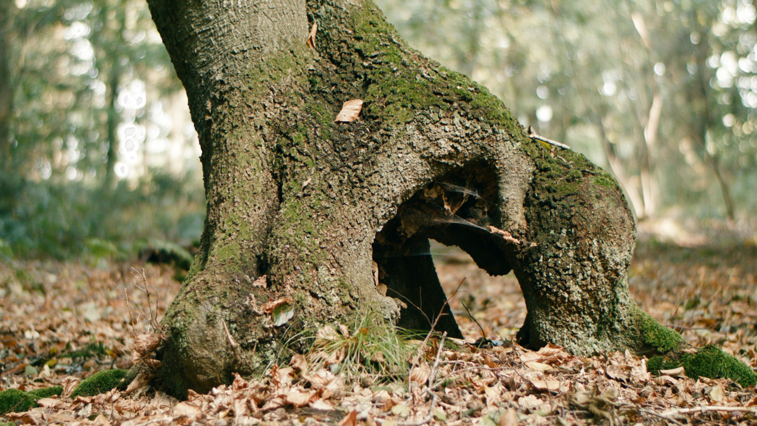 Toliq metrajli filmlardan oilaviy porno parchalar Emma Stone porno videolar